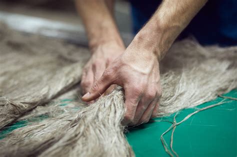  Flachsfasern: Vielfältige Anwendungsmöglichkeiten in der Textilindustrie!