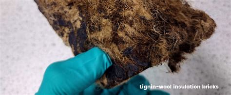  Lignin: Ein Wundermaterial für nachhaltige Verbundwerkstoffe und effiziente Energieentsorgung?